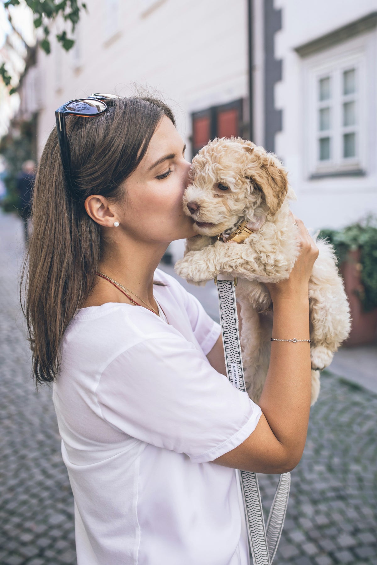 Guides for Dog Owners